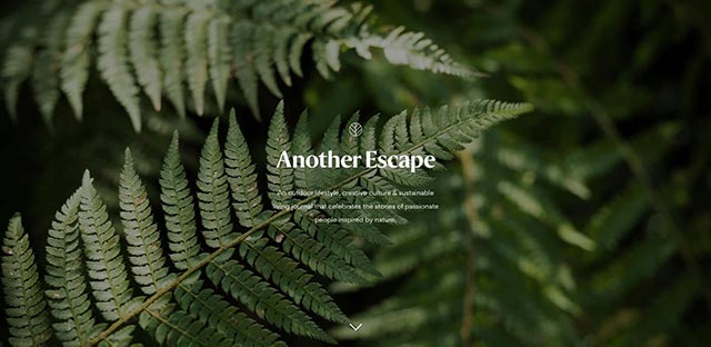 Another Escape website