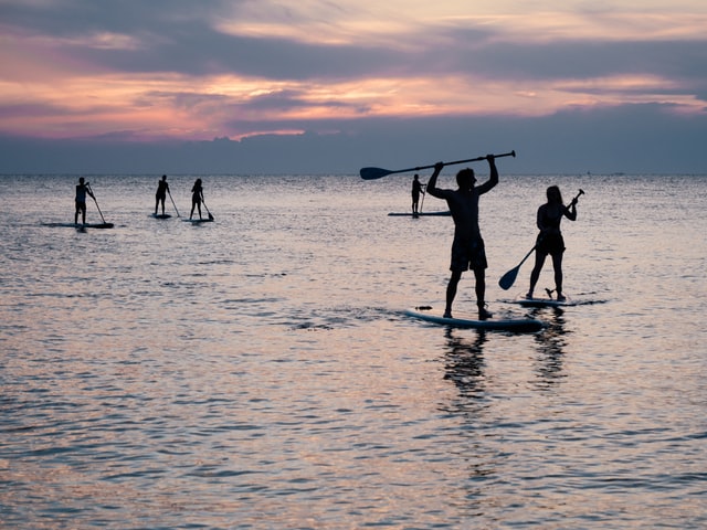 Group of paddleboarders at sunset small